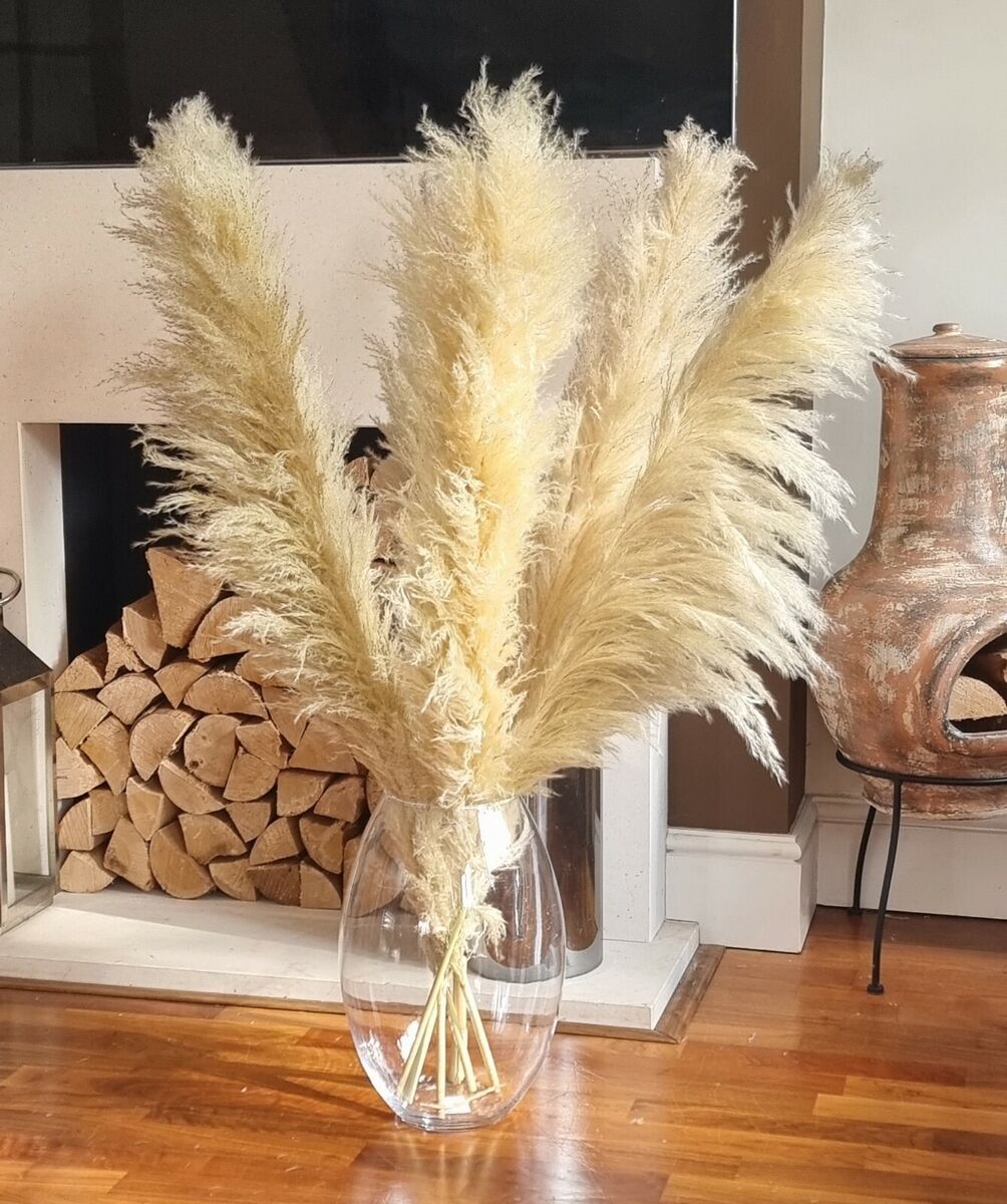 Tall 4pc Pampas Bundle
