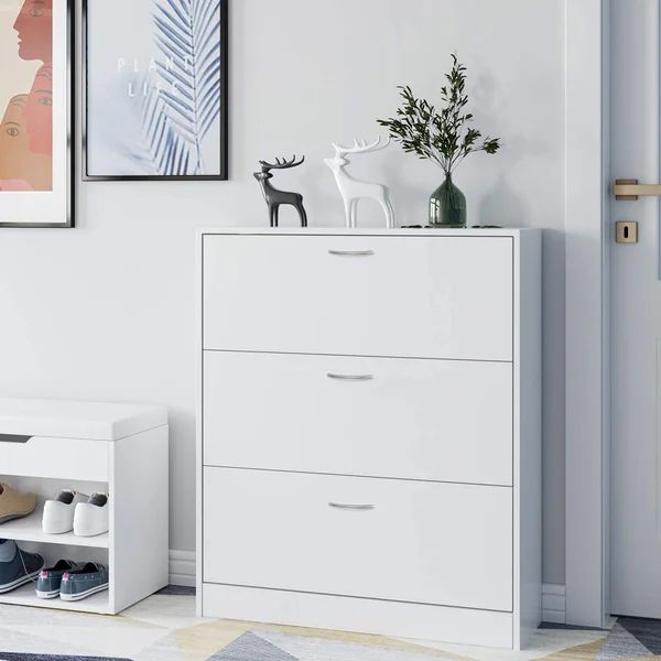 Standing Shoe Cabinet