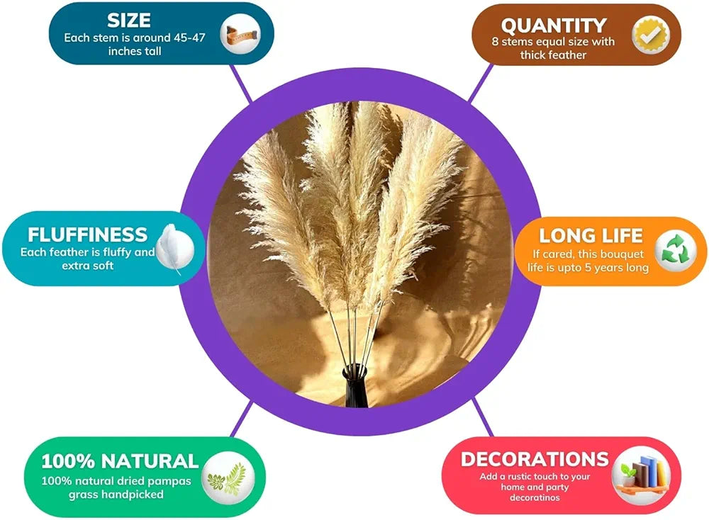 Tall 4pc Pampas Bundle