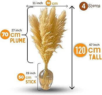 Tall 4pc Pampas Bundle