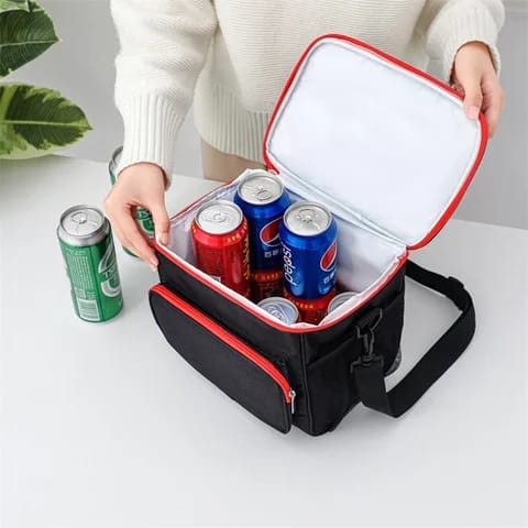 Large Insulated Lunch Bag