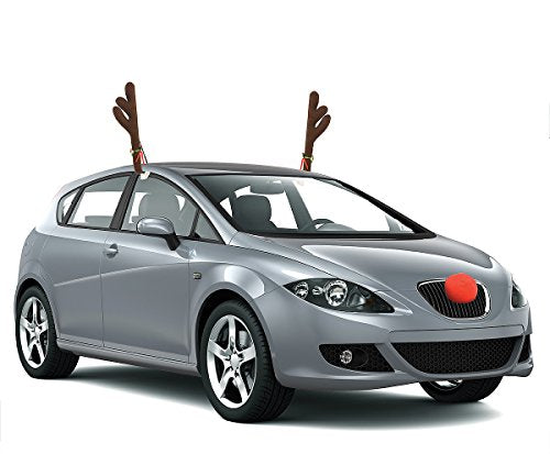 Reindeer Car Accessory