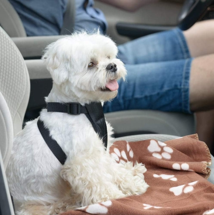 Microfiber Pet Towel