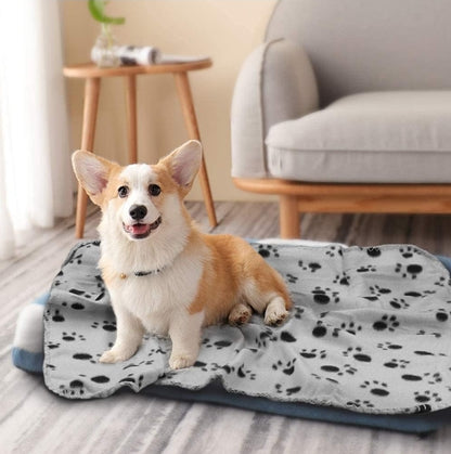 Microfiber Pet Towel