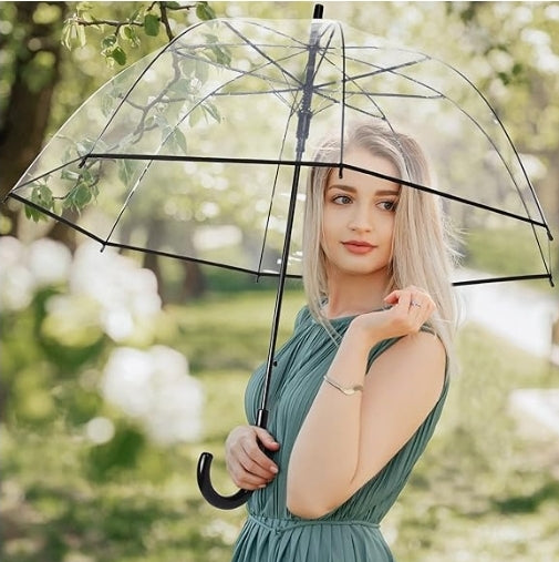 Clear Umbrella