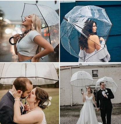 Clear Umbrella