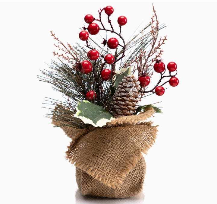 Holiday Plant Decor