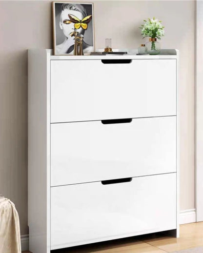 Standing Shoe Cabinet