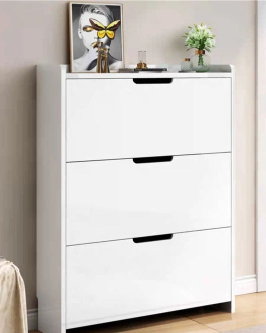 Standing Shoe Cabinet