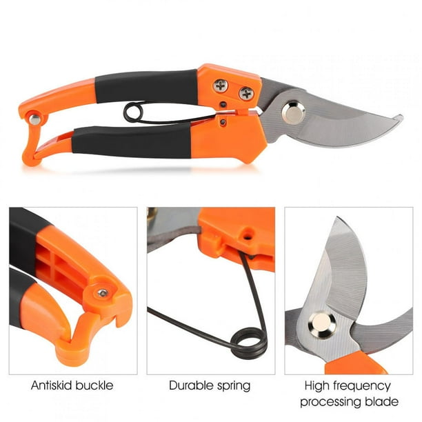 Pruning Shears