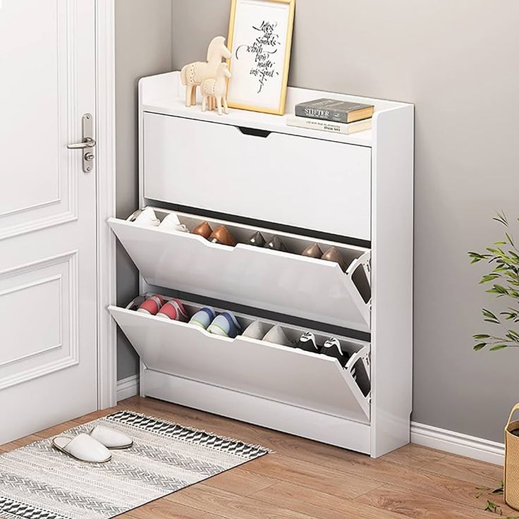 Standing Shoe Cabinet