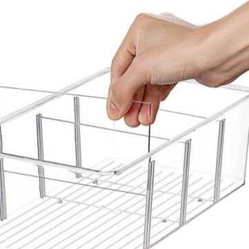 Clear Storage Bin w/ Removable Dividers