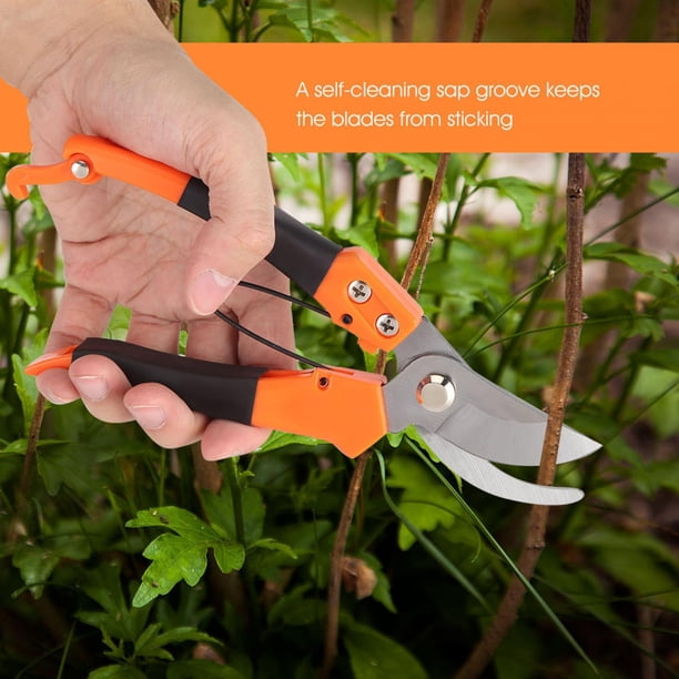Pruning Shears