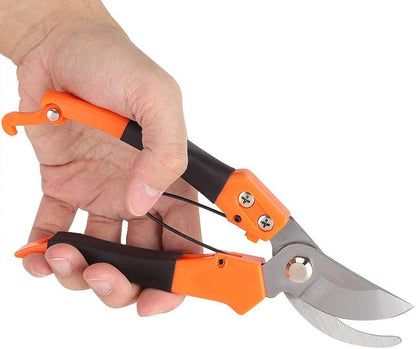 Pruning Shears