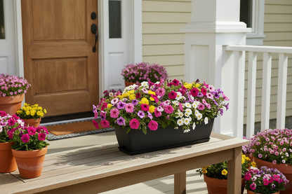 Rectangular Planter with Tray