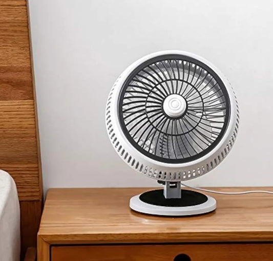 2-in-1 Electric Fan