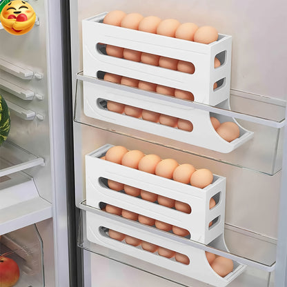 Egg Dispenser