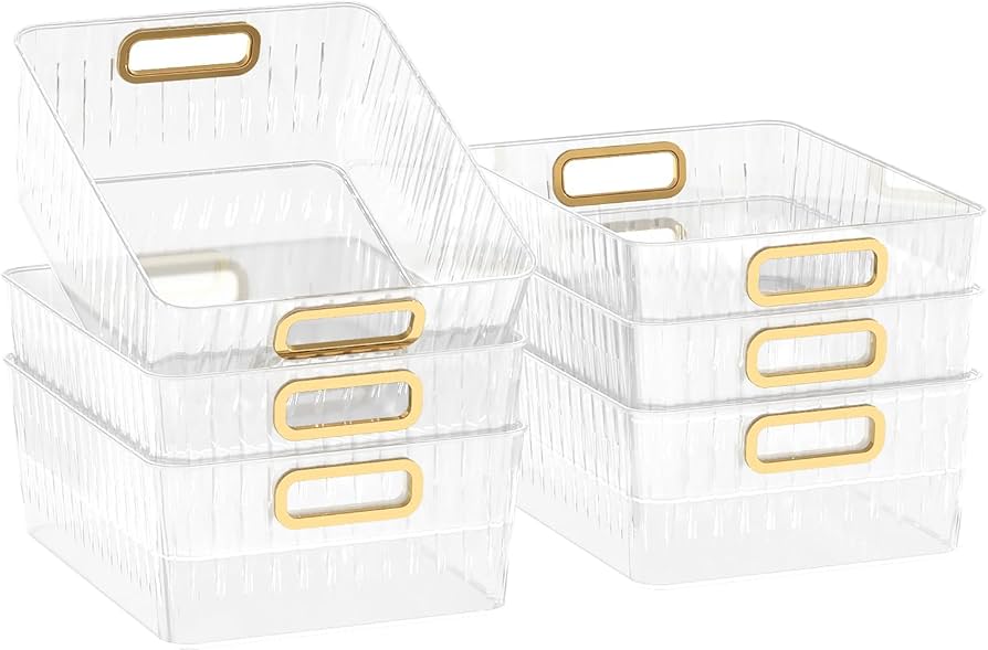 Clear Storage Bin w/ Removable Dividers