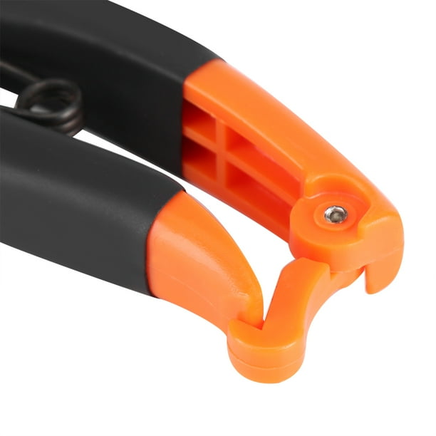 Pruning Shears